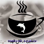 تعبیر و تفسیر دلفین در فال قهوه