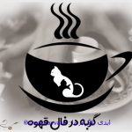 تعبیر و تفسیر گربه در فال قهوه