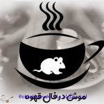 تعبیر و تفسیر موش در فال قهوه