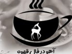 فال چکاوک
