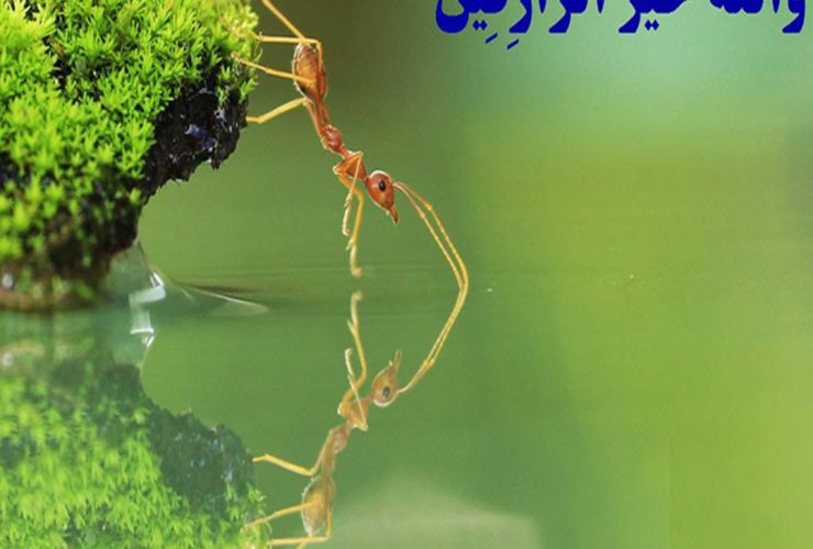 دعای افزایش رزق و ثروت